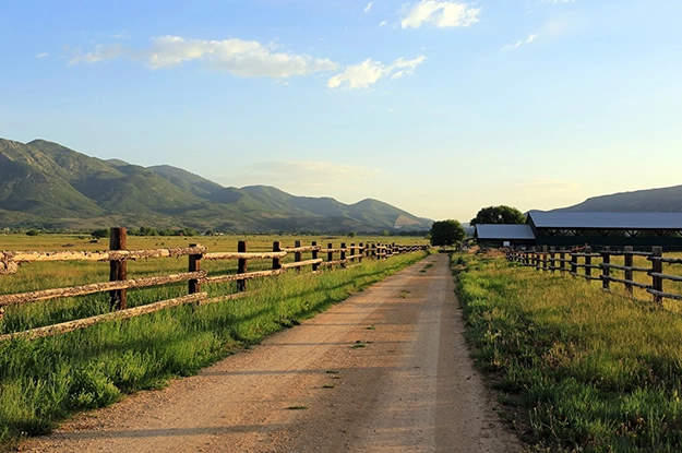 A dirt road leading to a farm with a blue sky above