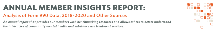 2022 Member Insights Report header