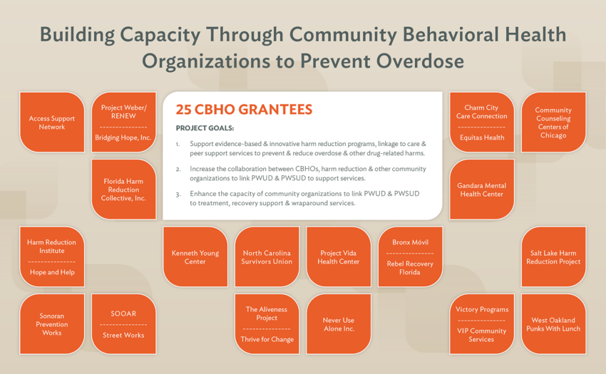 infographic showing 25 CBHO grantees